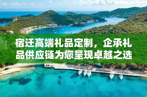 宿迁高端礼品定制，企承礼品供应链为您呈现卓越之选